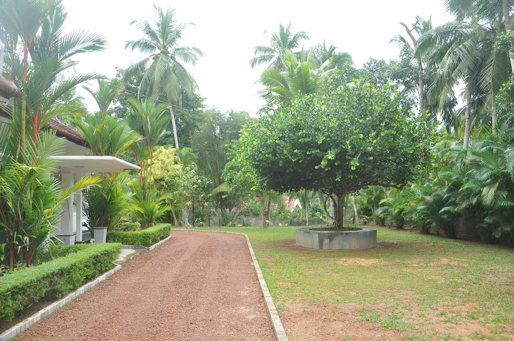 Village Headman'S Five Bedrooms Entire Bungalow Induruwa Exterior photo