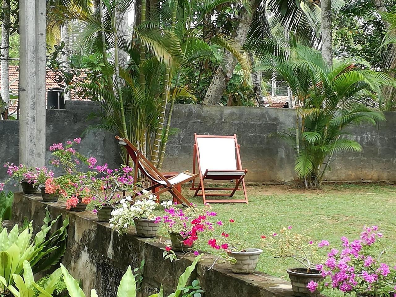 Village Headman'S Five Bedrooms Entire Bungalow Induruwa Exterior photo